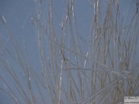 2025-12-27 Il Costone 064